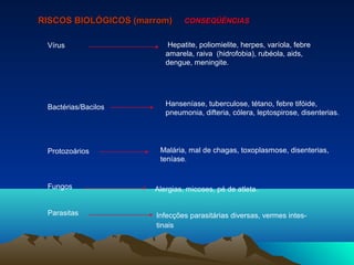 Vírus
Bactérias/Bacilos
Protozoários
Fungos
Parasitas
RISCOS BIOLÓGICOS (marrom)RISCOS BIOLÓGICOS (marrom) CONSEQÜÊNCIASCONSEQÜÊNCIAS
Hepatite, poliomielite, herpes, varíola, febre
amarela, raiva (hidrofobia), rubéola, aids,
dengue, meningite.
Hanseníase, tuberculose, tétano, febre tifóide,
pneumonia, difteria, cólera, leptospirose, disenterias.
Malária, mal de chagas, toxoplasmose, disenterias,
teníase.
Alergias, micoses, pé de atleta.
Infecções parasitárias diversas, vermes intes-
tinais
 
