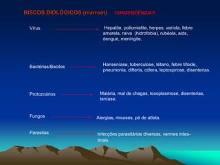 Vírus
Bactérias/Bacilos
Protozoários
Fungos
Parasitas
RISCOS BIOLÓGICOS (marrom) CONSEQÜÊNCIAS
Hepatite, poliomielite, herpes, varíola, febre
amarela, raiva (hidrofobia), rubéola, aids,
dengue, meningite.
Hanseníase, tuberculose, tétano, febre tifóide,
pneumonia, difteria, cólera, leptospirose, disenterias.
Malária, mal de chagas, toxoplasmose, disenterias,
teníase.
Alergias, micoses, pé de atleta.
Infecções parasitárias diversas, vermes intes-
tinais
 