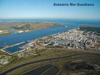 Estuário Rio Guadiana 
 