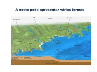 A costa pode apresentar várias formas 
 