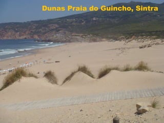 Dunas Praia do Guincho, Sintra 
 