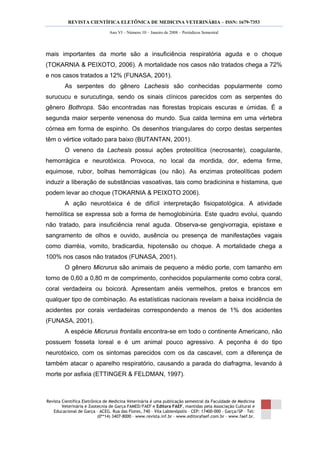 REVISTA CIENTÍFICA ELETÔNICA DE MEDICINA VETERINÁRIA – ISSN: 1679-7353
Revista Científica Eletrônica de Medicina Veterinária é uma publicação semestral da Faculdade de Medicina
Veterinária e Zootecnia de Garça FAMED/FAEF e Editora FAEF, mantidas pela Associação Cultural e
Educacional de Garça – ACEG. Rua das Flores, 740 – Vila Labienópolis – CEP: 17400-000 – Garça/SP – Tel:
(0**14) 3407-8000 – www.revista.inf.br – www.editorafaef.com.br – www.faef.br.
Ano VI – Número 10 – Janeiro de 2008 – Periódicos Semestral
mais importantes da morte são a insuficiência respiratória aguda e o choque
(TOKARNIA & PEIXOTO, 2006). A mortalidade nos casos não tratados chega a 72%
e nos casos tratados a 12% (FUNASA, 2001).
As serpentes do gênero Lachesis são conhecidas popularmente como
surucucu e surucutinga, sendo os sinais clínicos parecidos com as serpentes do
gênero Bothrops. São encontradas nas florestas tropicais escuras e úmidas. É a
segunda maior serpente venenosa do mundo. Sua calda termina em uma vértebra
córnea em forma de espinho. Os desenhos triangulares do corpo destas serpentes
têm o vértice voltado para baixo (BUTANTAN, 2001).
O veneno da Lachesis possui ações proteolítica (necrosante), coagulante,
hemorrágica e neurotóxica. Provoca, no local da mordida, dor, edema firme,
equimose, rubor, bolhas hemorrágicas (ou não). As enzimas proteolíticas podem
induzir a liberação de substâncias vasoativas, tais como bradicinina e histamina, que
podem levar ao choque (TOKARNIA & PEIXOTO 2006).
A ação neurotóxica é de difícil interpretação fisiopatológica. A atividade
hemolítica se expressa sob a forma de hemoglobinúria. Este quadro evolui, quando
não tratado, para insuficiência renal aguda. Observa-se gengivorragia, epistaxe e
sangramento de olhos e ouvido, ausência ou presença de manifestações vagais
como diarréia, vomito, bradicardia, hipotensão ou choque. A mortalidade chega a
100% nos casos não tratados (FUNASA, 2001).
O gênero Micrurus são animais de pequeno a médio porte, com tamanho em
torno de 0,60 a 0,80 m de comprimento, conhecidos popularmente como cobra coral,
coral verdadeira ou boicorá. Apresentam anéis vermelhos, pretos e brancos em
qualquer tipo de combinação. As estatísticas nacionais revelam a baixa incidência de
acidentes por corais verdadeiras correspondendo a menos de 1% dos acidentes
(FUNASA, 2001).
A espécie Micrurus frontalis encontra-se em todo o continente Americano, não
possuem fosseta loreal e é um animal pouco agressivo. A peçonha é do tipo
neurotóxico, com os sintomas parecidos com os da cascavel, com a diferença de
também atacar o aparelho respiratório, causando a parada do diafragma, levando à
morte por asfixia (ETTINGER & FELDMAN, 1997).
 