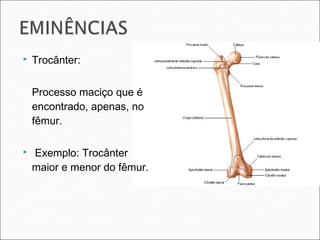  Trocânter:
Processo maciço que é
encontrado, apenas, no
fêmur.
 Exemplo: Trocânter
maior e menor do fêmur.
 