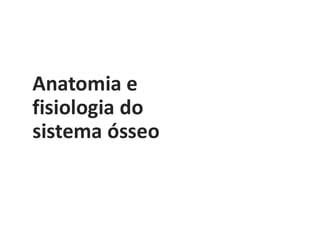 Anatomia e
fisiologia do
sistema ósseo
 