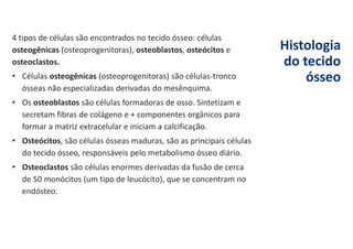Histologia
do tecido
ósseo
4 tipos de células são encontrados no tecido ósseo: células
osteogênicas (osteoprogenitoras), osteoblastos, osteócitos e
osteoclastos.
• Células osteogênicas (osteoprogenitoras) são células-tronco
ósseas não especializadas derivadas do mesênquima.
• Os osteoblastos são células formadoras de osso. Sintetizam e
secretam fibras de colágeno e + componentes orgânicos para
formar a matriz extracelular e iniciam a calcificação.
• Osteócitos, são células ósseas maduras, são as principais células
do tecido ósseo, responsáveis pelo metabolismo ósseo diário.
• Osteoclastos são células enormes derivadas da fusão de cerca
de 50 monócitos (um tipo de leucócito), que se concentram no
endósteo.
 