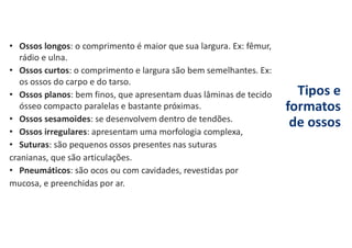 Tipos e
formatos
de ossos
• Ossos longos: o comprimento é maior que sua largura. Ex: fêmur,
rádio e ulna.
• Ossos curtos: o comprimento e largura são bem semelhantes. Ex:
os ossos do carpo e do tarso.
• Ossos planos: bem finos, que apresentam duas lâminas de tecido
ósseo compacto paralelas e bastante próximas.
• Ossos sesamoides: se desenvolvem dentro de tendões.
• Ossos irregulares: apresentam uma morfologia complexa,
• Suturas: são pequenos ossos presentes nas suturas
cranianas, que são articulações.
• Pneumáticos: são ocos ou com cavidades, revestidas por
mucosa, e preenchidas por ar.
 