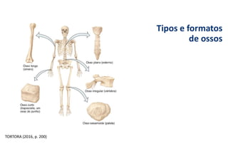 Tipos e formatos
de ossos
TORTORA (2016, p. 200)
 