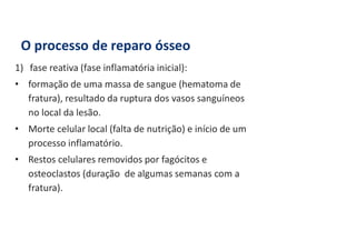 O processo de reparo ósseo
1) fase reativa (fase inflamatória inicial):
• formação de uma massa de sangue (hematoma de
fratura), resultado da ruptura dos vasos sanguíneos
no local da lesão.
• Morte celular local (falta de nutrição) e início de um
processo inflamatório.
• Restos celulares removidos por fagócitos e
osteoclastos (duração de algumas semanas com a
fratura).
 