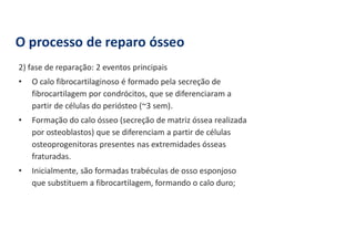 O processo de reparo ósseo
2) fase de reparação: 2 eventos principais
• O calo fibrocartilaginoso é formado pela secreção de
fibrocartilagem por condrócitos, que se diferenciaram a
partir de células do periósteo (~3 sem).
• Formação do calo ósseo (secreção de matriz óssea realizada
por osteoblastos) que se diferenciam a partir de células
osteoprogenitoras presentes nas extremidades ósseas
fraturadas.
• Inicialmente, são formadas trabéculas de osso esponjoso
que substituem a fibrocartilagem, formando o calo duro;
 
