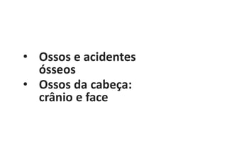 • Ossos e acidentes
ósseos
• Ossos da cabeça:
crânio e face
 