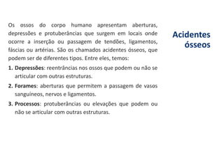 Acidentes
ósseos
Os ossos do corpo humano apresentam aberturas,
depressões e protuberâncias que surgem em locais onde
ocorre a inserção ou passagem de tendões, ligamentos,
fáscias ou artérias. São os chamados acidentes ósseos, que
podem ser de diferentes tipos. Entre eles, temos:
1. Depressões: reentrâncias nos ossos que podem ou não se
articular com outras estruturas.
2. Forames: aberturas que permitem a passagem de vasos
sanguíneos, nervos e ligamentos.
3. Processos: protuberâncias ou elevações que podem ou
não se articular com outras estruturas.
 