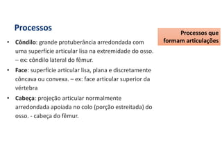 Processos
• Côndilo: grande protuberância arredondada com
uma superfície articular lisa na extremidade do osso.
– ex: côndilo lateral do fêmur.
• Face: superfície articular lisa, plana e discretamente
côncava ou convexa. – ex: face articular superior da
vértebra
• Cabeça: projeção articular normalmente
arredondada apoiada no colo (porção estreitada) do
osso. - cabeça do fêmur.
Processos que
formam articulações
 