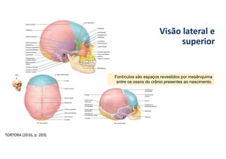 Visão lateral e
superior
Fontículos são espaços revestidos por mesênquima
entre os ossos do crânio presentes ao nascimento.
TORTORA (2016, p. 203)
 
