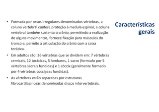 Características
gerais
• Formada por ossos irregulares denominados vértebras, a
coluna vertebral confere proteção à medula espinal, a coluna
vertebral também sustenta o crânio, permitindo a realização
de alguns movimentos, fornece fixação para músculos do
tronco e, permite a articulação do crânio com a caixa
torácica.
• Em adultos são: 26 vértebras que se dividem em: 7 vértebras
cervicais, 12 torácicas, 5 lombares, 1 sacro (formado por 5
vértebras sacrais fundidas) e 1 cóccix (geralmente formado
por 4 vértebras coccígeas fundidas).
• As vértebras estão separadas por estruturas
fibrocartilaginosas denominadas discos intervertebrais.
 