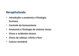 Recapitulando
• Introdução a anatomia e fisiologia
humana
• Controle da homeostasia
• Anatomia e fisiologia do sistema ósseo
• Ossos e acidentes ósseos
• Ossos da cabeça: crânio e face
• Coluna vertebral
 