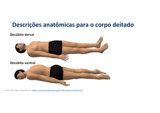 Descrições anatômicas para o corpo deitado
Fonte: Wikimedia. Disponível em: https://commons.wikimedia.org/w/index.php?curid=89255213
 