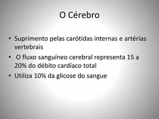 O Cérebro
• Suprimento pelas carótidas internas e artérias
vertebrais
• O fluxo sanguíneo cerebral representa 15 a
20% do débito cardíaco total
• Utiliza 10% da glicose do sangue
 