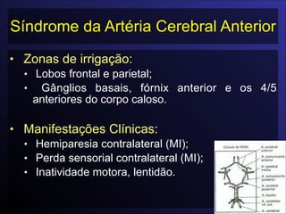 Síndrome da Artéria Cerebral Anterior
• Zonas de irrigação:
• Lobos frontal e parietal;
• Gânglios basais, fórnix anterior e os 4/5
anteriores do corpo caloso.

• Manifestações Clínicas:
• Hemiparesia contralateral (MI);
• Perda sensorial contralateral (MI);
• Inatividade motora, lentidão.
 