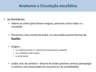 Anatomia e Circulação encefálica


• aa Vertebrais:
   • Sobem ao crânio (pelo forame magno), perfuram a dura máter e a
     aracnóide


   • Percorrem a face ventral do bulbo, no sulco bulbo pontino formam a.
     basilar;

   • Origem:
       • a.a. espinhais posts e a. espinhal ant (vasculariza a medula);
       • a.a. cerebelares infs e posts,
       • a. lat do bulbo


   • Lesão: sínd. do cativeiro – decorre de lesões pontinas ventrais (tetraplegia
     e anartria, com preservação da consciencia e da sensibilidade)
 