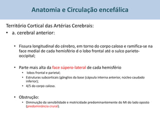Anatomia e Circulação encefálica

Território Cortical das Artérias Cerebrais:
• a. cerebral anterior:

   • Fissura longitudinal do cérebro, em torno do corpo caloso e ramifica-se na
     face medial de cada hemisfério d o lobo frontal até o sulco parieto-
     occipital;

   • Parte mais alta da face súpero-lateral de cada hemisfério
       • lobos frontal e parietal;
       • Estruturas subcorticais (gânglios da base (cápsula interna anterior, núcleo caudado
         inferior);
       • 4/5 do corpo caloso.


   • Obstrução:
       • Diminuição da sensibilidade e motricidade predominantemente do MI do lado oposto
         (predominância crural).
 