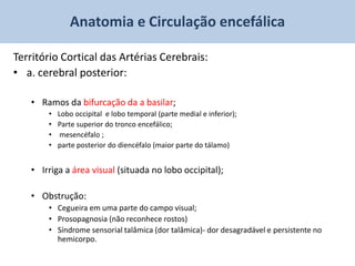 Anatomia e Circulação encefálica

Território Cortical das Artérias Cerebrais:
• a. cerebral posterior:

   • Ramos da bifurcação da a basilar;
       •   Lobo occipital e lobo temporal (parte medial e inferior);
       •   Parte superior do tronco encefálico;
       •    mesencéfalo ;
       •   parte posterior do diencéfalo (maior parte do tálamo)


   • Irriga a área visual (situada no lobo occipital);

   • Obstrução:
       • Cegueira em uma parte do campo visual;
       • Prosopagnosia (não reconhece rostos)
       • Síndrome sensorial talâmica (dor talâmica)- dor desagradável e persistente no
         hemicorpo.
 