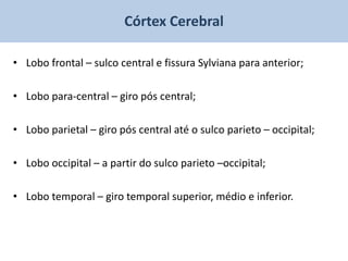 Córtex Cerebral

• Lobo frontal – sulco central e fissura Sylviana para anterior;

• Lobo para-central – giro pós central;

• Lobo parietal – giro pós central até o sulco parieto – occipital;

• Lobo occipital – a partir do sulco parieto –occipital;

• Lobo temporal – giro temporal superior, médio e inferior.
 