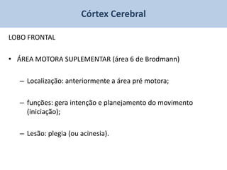 Córtex Cerebral

LOBO FRONTAL

• ÁREA MOTORA SUPLEMENTAR (área 6 de Brodmann)

   – Localização: anteriormente a área pré motora;

   – funções: gera intenção e planejamento do movimento
     (iniciação);

   – Lesão: plegia (ou acinesia).
 