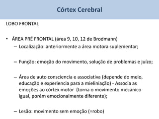 Córtex Cerebral
LOBO FRONTAL

• ÁREA PRÉ FRONTAL (área 9, 10, 12 de Brodmann)
   – Localização: anteriormente a área motora suplementar;

   – Função: emoção do movimento, solução de problemas e juízo;

   – Área de auto consciencia e associativa (depende do meio,
     educação e experiencia para a mieliniação) - Associa as
     emoções ao córtex motor (torna o movimento mecanico
     igual, porém emocionalmente diferente);

   – Lesão: movimento sem emoção (=robo)
 