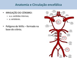 Anatomia e Circulação encefálica

• IRRIGAÇÃO DO CÉREBRO:
   – a.a. carótidas internas;
   – a. vertebrais.


• Polígono de Willis – formado na
  base do crânio;
 