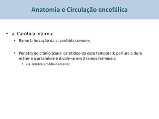 Anatomia e Circulação encefálica


• a. Carótida Interna:
   • Ramo bifurcação da a. carótida comum;

   • Penetra no crânio (canal carotídeo do osso temporal); perfura a dura
     máter e a aracnóide e divide-se em 2 ramos terminais:
       • a.a. cerebrais média e anterior;
 