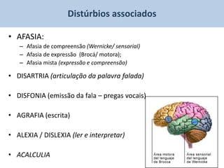 Distúrbios associados

• AFASIA:
   – Afasia de compreensão (Wernicke/ sensorial)
   – Afasia de expressão (Brocá/ motora);
   – Afasia mista (expressão e compreensão)

• DISARTRIA (articulação da palavra falada)

• DISFONIA (emissão da fala – pregas vocais)

• AGRAFIA (escrita)

• ALEXIA / DISLEXIA (ler e interpretar)

• ACALCULIA
 