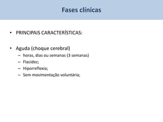 Fases clínicas


• PRINCIPAIS CARACTERÍSTICAS:

• Aguda (choque cerebral)
   –   horas, dias ou semanas (3 semanas)
   –   Flacidez;
   –   Hiporreflexia;
   –   Sem movimentação voluntária;
 