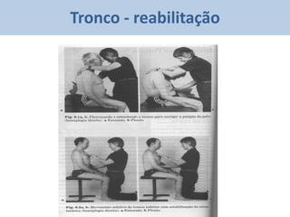 Tronco - reabilitação
 