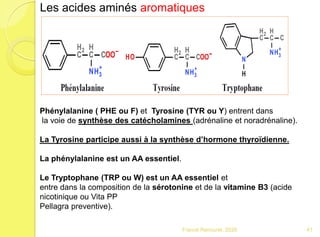 BTS diététique Acides amines