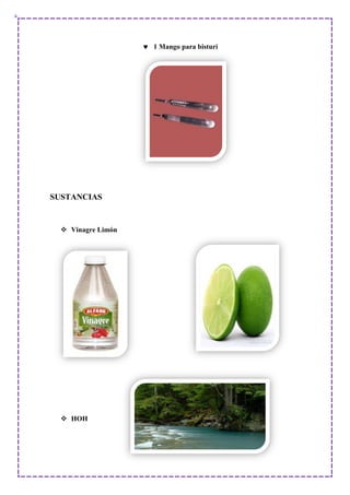 1 Mango para bisturí
SUSTANCIAS
 Vinagre Limón
 HOH
 