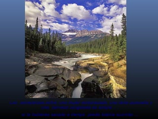 Las  semejanzas entre: una mujer embarazada, una tarta quemada y
una  cerveza congelada es simple ...
si la hubieras sacado a tiempo  jamás habría ocurrido …

 