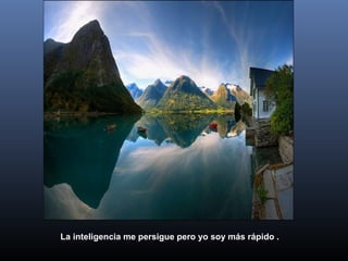 La inteligencia me persigue pero yo soy más rápido .

 