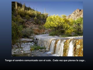 Tengo el cerebro comunicado con el culo . Cada vez que pienso la cago .
 