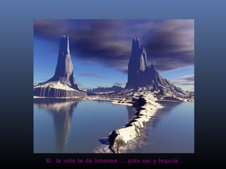 Si  la vida te da limones ... pide sal y tequila .  
 