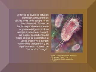 A través de diversos estudios
científicos analizando las
células vivas de la sangre (*), se
han observado formas de
bacteria que viven en nuestro
organismo (algunas incluso
trabajan ayudando al cuerpo),
las cuales, dependiendo del
medio en que se desarrollan, a
veces crecen y se alargan
volviéndose patógenas, y en
algunos casos, mutando de
“bacteria” a “hongo”.
(*) Dr. Gunther Enderlein, Alemania
Dr. Robert Young, USA
Dr. Federico Ituarte, Argentina
y otros
 