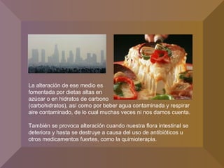 La alteración de ese medio es
fomentada por dietas altas en
azúcar o en hidratos de carbono
(carbohidratos), así como por beber agua contaminada y respirar
aire contaminado, de lo cual muchas veces ni nos damos cuenta.
También se provoca alteración cuando nuestra flora intestinal se
deteriora y hasta se destruye a causa del uso de antibióticos u
otros medicamentos fuertes, como la quimioterapia.
 