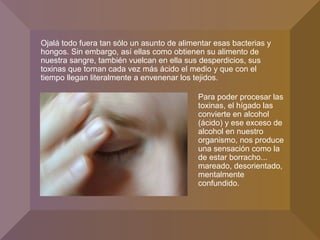 Ojalá todo fuera tan sólo un asunto de alimentar esas bacterias y
hongos. Sin embargo, así ellas como obtienen su alimento de
nuestra sangre, también vuelcan en ella sus desperdicios, sus
toxinas que tornan cada vez más ácido el medio y que con el
tiempo llegan literalmente a envenenar los tejidos.
Para poder procesar las
toxinas, el hígado las
convierte en alcohol
(ácido) y ese exceso de
alcohol en nuestro
organismo, nos produce
una sensación como la
de estar borracho...
mareado, desorientado,
mentalmente
confundido.
 
