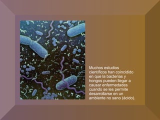 Muchos estudios
científicos han coincidido
en que la bacterias y
hongos pueden llegar a
causar enfermedades
cuando se les permite
desarrollarse en un
ambiente no sano (ácido).
 