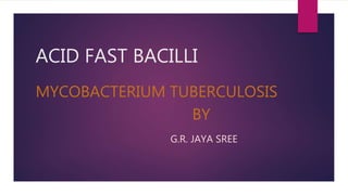 ACID FAST BACILLI
MYCOBACTERIUM TUBERCULOSIS
BY
G.R. JAYA SREE
 