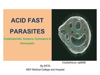 ACID FAST
PARASITES
Cryptosporidia, Isospora, Cyclospora &
Sarcocystis
By EKTA
MSY Medical College and Hospital
 