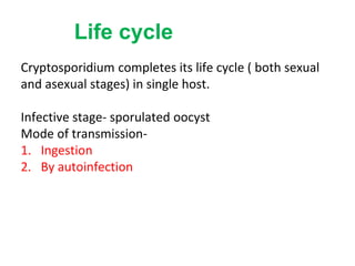 Life cycle
Cryptosporidium completes its life cycle ( both sexual
and asexual stages) in single host.
Infective stage- sporulated oocyst
Mode of transmission-
1. Ingestion
2. By autoinfection
 