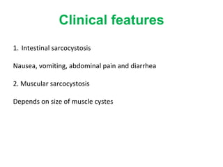 Clinical features
1. Intestinal sarcocystosis
Nausea, vomiting, abdominal pain and diarrhea
2. Muscular sarcocystosis
Depends on size of muscle cystes
 