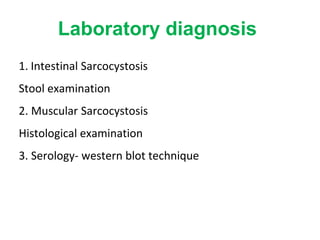 Laboratory diagnosis
1. Intestinal Sarcocystosis
Stool examination
2. Muscular Sarcocystosis
Histological examination
3. Serology- western blot technique
 