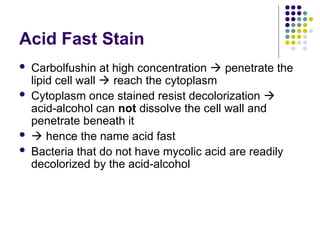 Acid fast stain - PRINCIPLE AND PROCEDURE | PPT