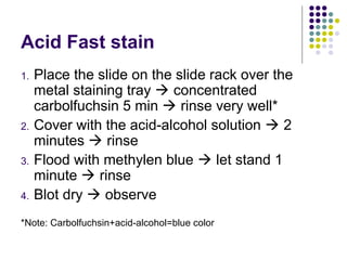 Acid fast stain - PRINCIPLE AND PROCEDURE | PPT